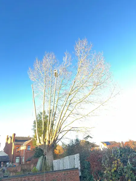 Swipe To View More Images