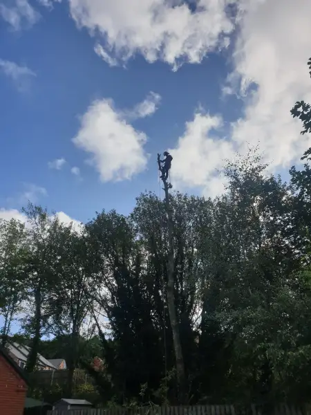 Swipe To View More Images