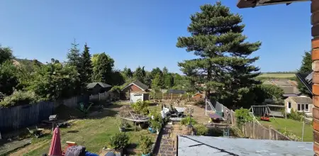 Pine Tree Removal In Derby