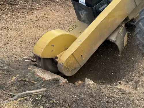 Click Here To Enlarge This Photo Of Conifer Tree Stump Grinding In Loughborough
