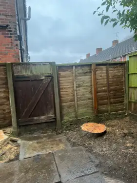 Click Here To Enlarge This Photo Of Large Conifer Removal