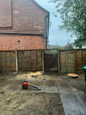 Click Here To Enlarge This Photo Of Large Conifer Removal