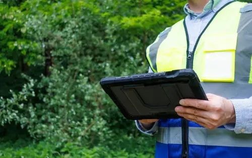 Click Here To Enlarge This Photo Of When Should You Arrange A Professional Tree Assessment&quest;