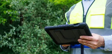 When Should You Arrange A Professional Tree Assessment&quest;