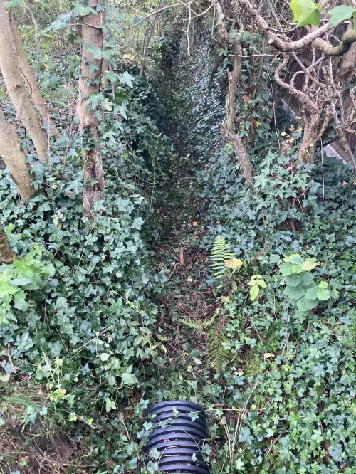 Click Here To Enlarge This Photo Of Ditch Clearance & Flood Prevention