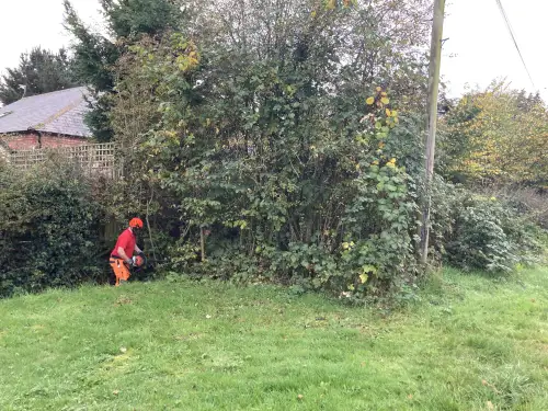 Click Here To Enlarge This Photo Of Ditch Clearance & Flood Prevention