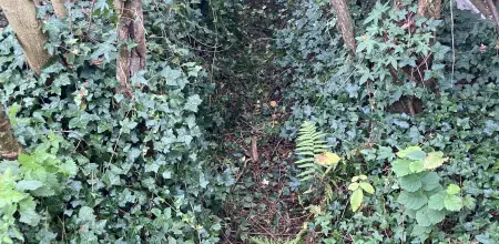 Ditch Clearance & Flood Prevention