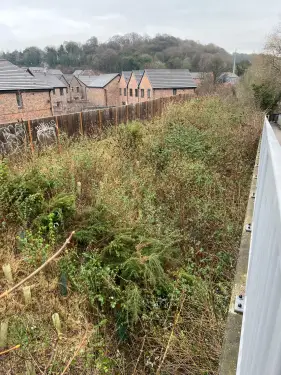 Click Here To Enlarge This Photo Of Buddleja  Site Clearance