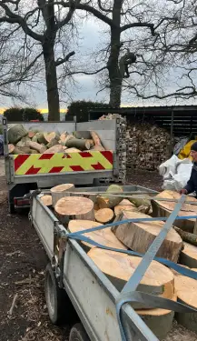Click Here To Enlarge This Photo Of Beech Tree Dismantling